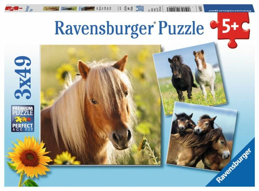 Puzzle 3x49 Teile Liebe Pferde ab 5 Jahre 3 Puzzles inklusive Mini-Postern als Vorlagen