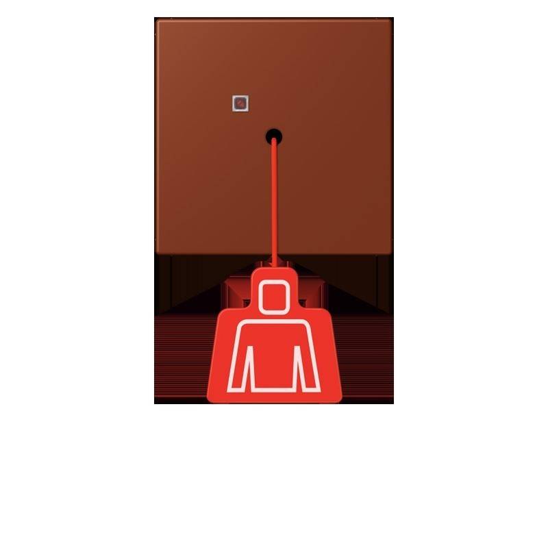 Jung Notrufsystem Zugtaster NRS LC 0834 ZT 247