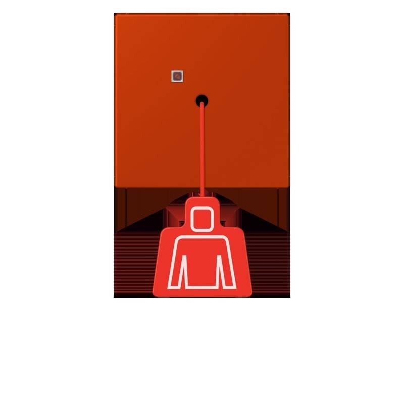 Jung Notrufsystem Zugtaster NRS LC 0834 ZT 244