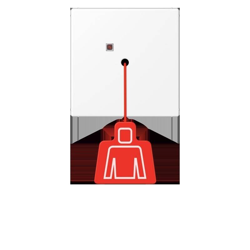 Jung Notrufsystem Zugtaster NRS LS 0834 ZT WWM