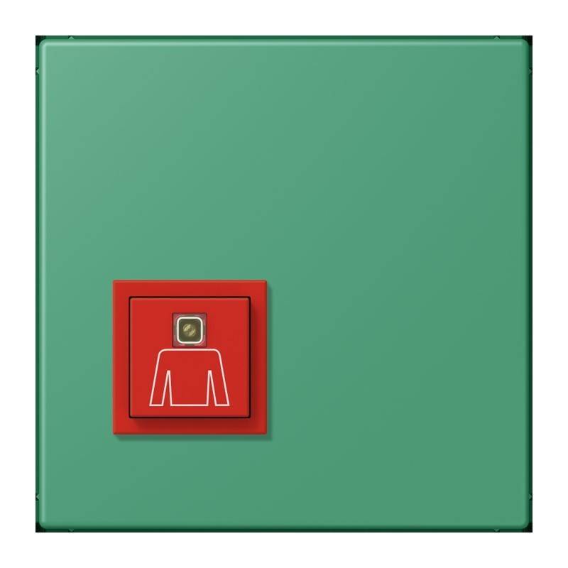 Jung Notrufsystem Ruftaster NRS LC 0834 RT 250