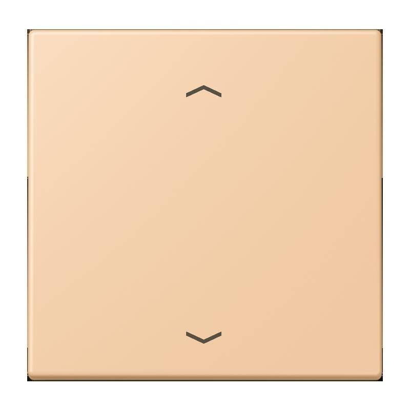 Ein Lichtschalter-Panel mit matter Oberfläche, mit zwei schwarzen Pfeilen, die nach oben und unten zeigen, vor einem beigen Hintergrund.