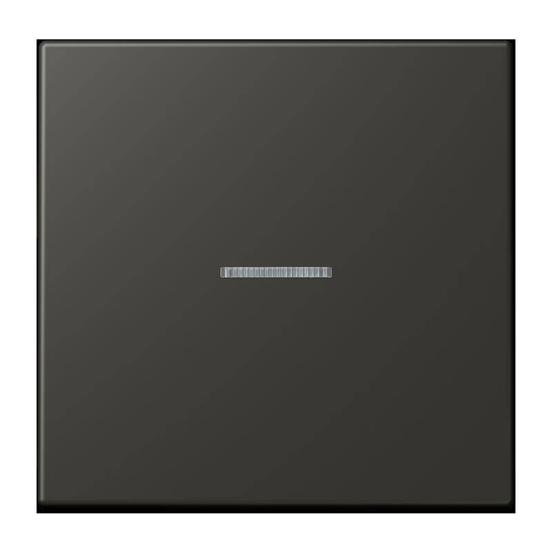 Ein schwarzer, rechteckiger Lichtschalter mit minimalistischem Design, der vor einem schlichten Hintergrund präsentiert wird.