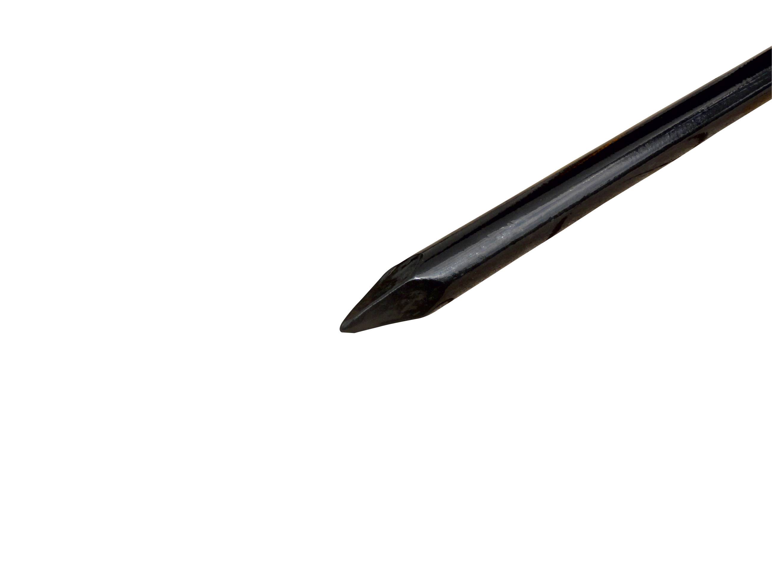 Schake 10197 Brechstange aus Rundstahl Ø30 mm mit angeschmiedeter Spitze und gerader Schneide Länge: 1,80 m