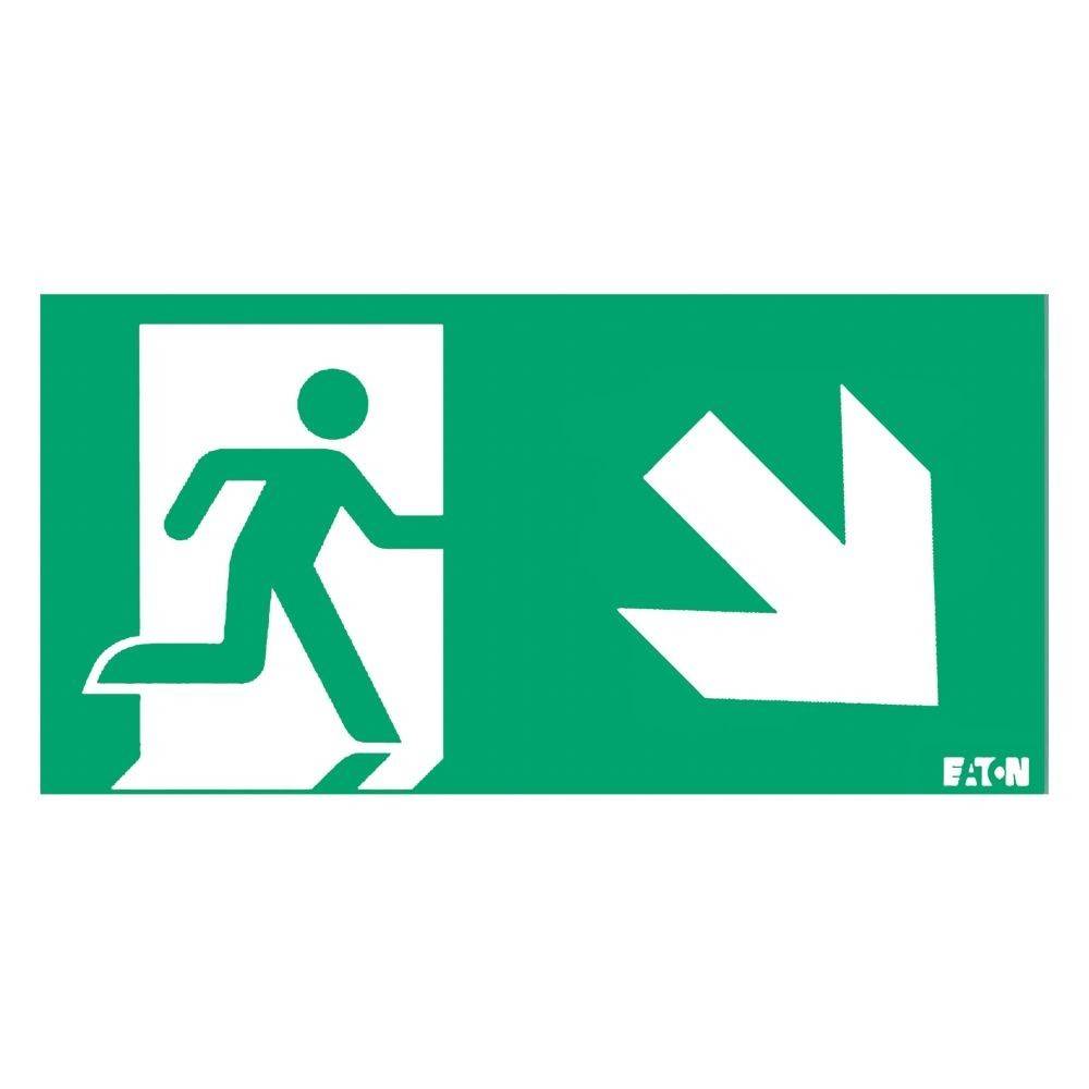 Ceag Notlichtsysteme Piktogramm LUM10973