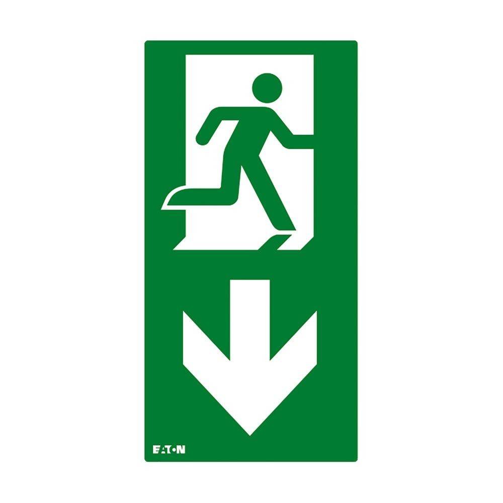 Ceag Notlichtsysteme Piktogramm FT2EWEC-PICTO-VD