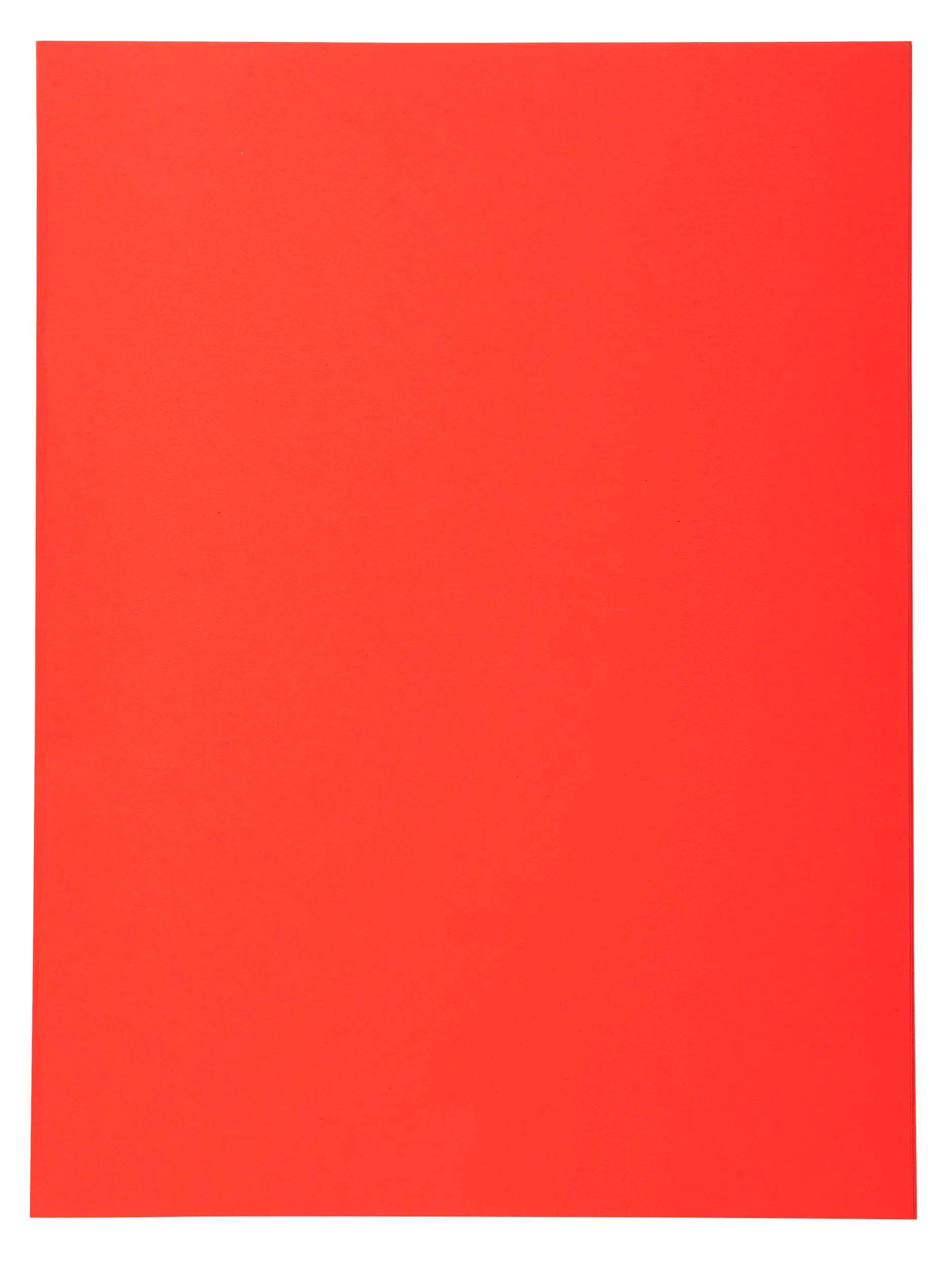 Exacompta 5x 100er Aktendeckel Recycling 24x32cm - Rot - 420012E