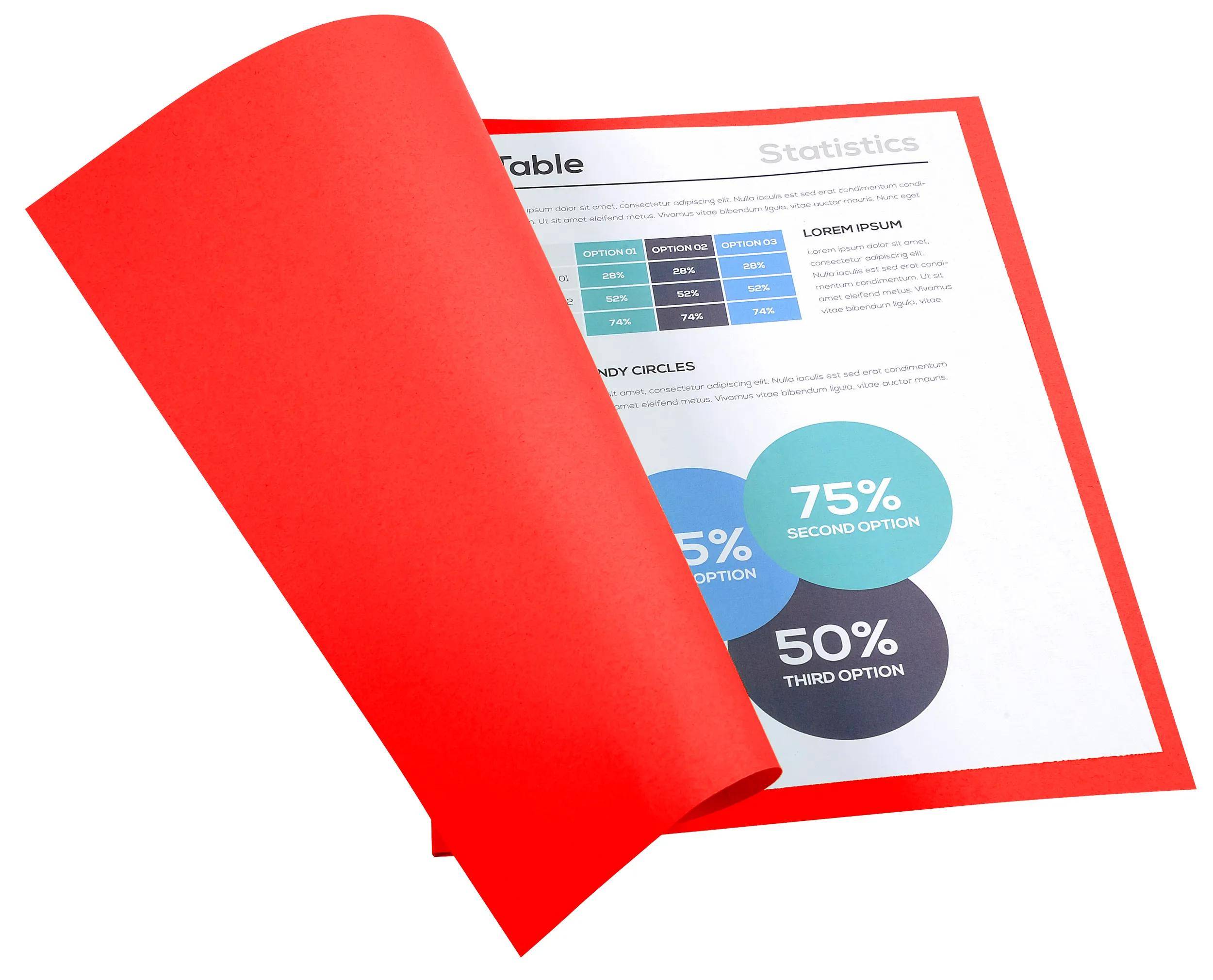 Exacompta 5x 100er Aktendeckel Recycling 24x32cm - Rot - 420012E