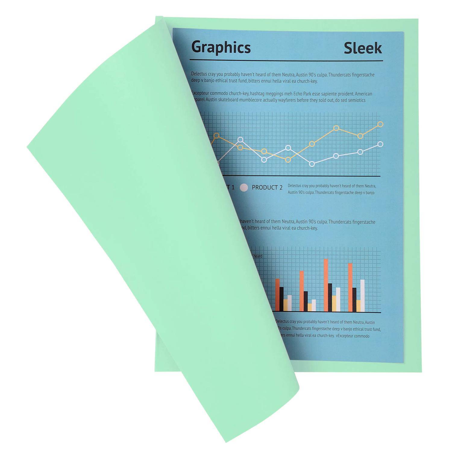 Exacompta 5x 100er Pack Aktendeckel A4 24x32cm 5-farben - Hellgrün - 330004E