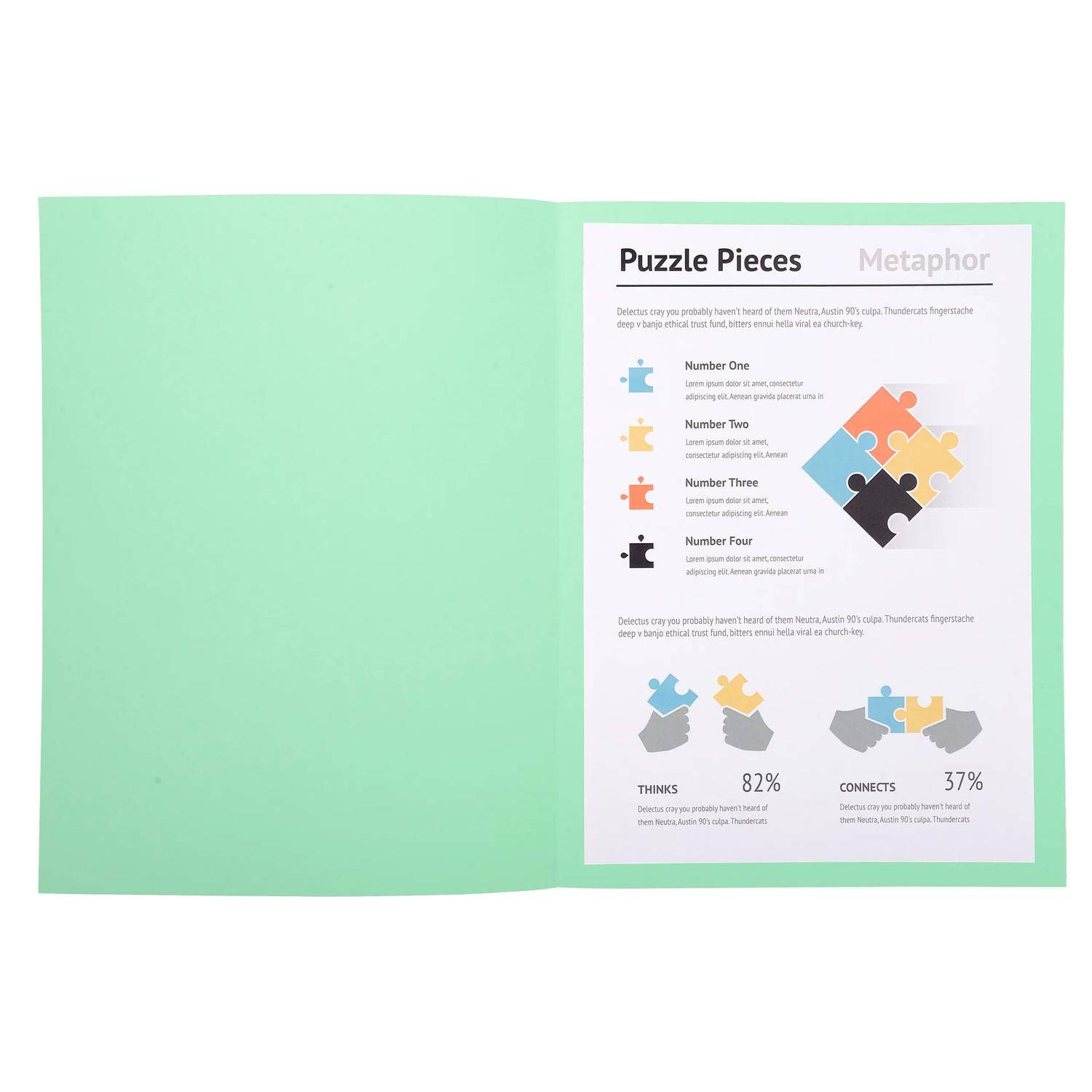 Exacompta 5x 100er Aktendeckel SUPER 160 24x32cm - Hellgrün - 340004E