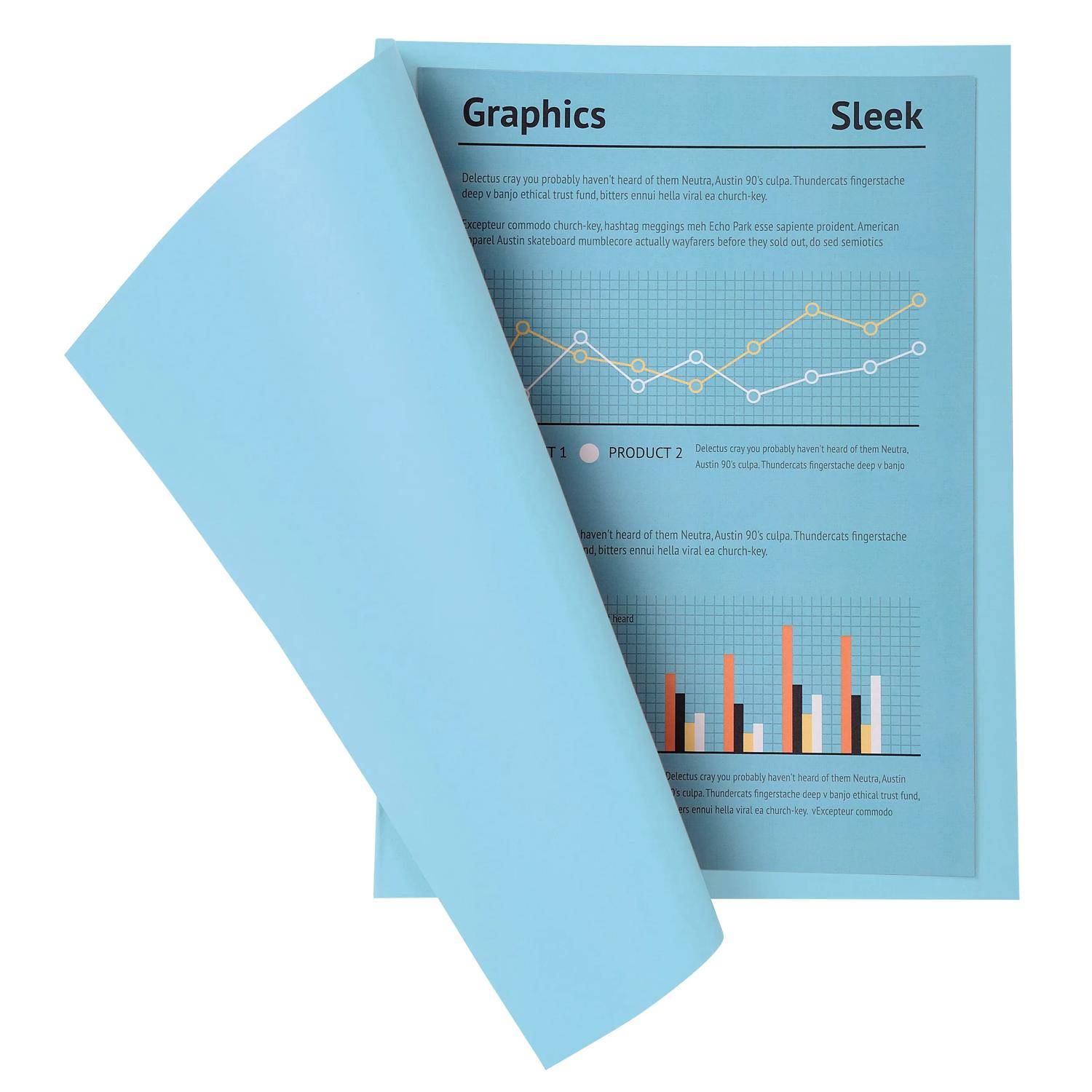 Exacompta 5x 100er Pack Aktendeckel A4 24x32cm 5-farben - Hellblau - 330006E