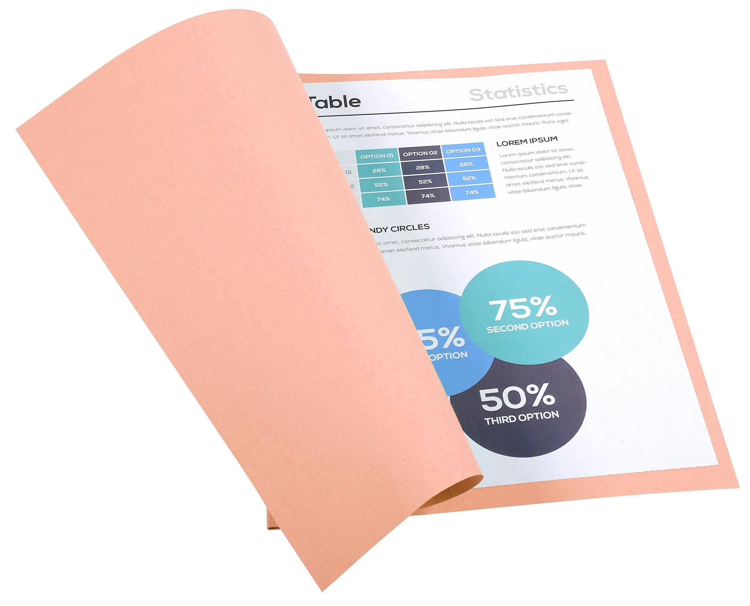 Exacompta 5x 100er Aktendeckel Recycling 24x32cm - Rosa - 420003E