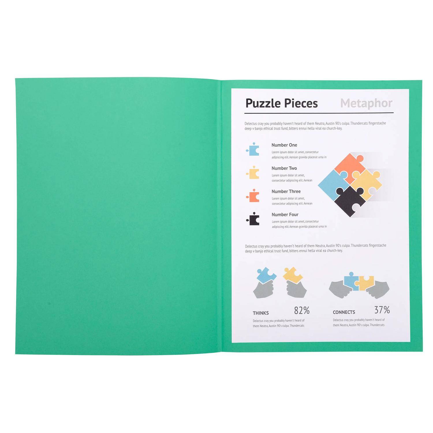 Exacompta 5x 100er Pack Aktendeckel A4 24x32cm 5-farben - Intensivgrün - 330021E