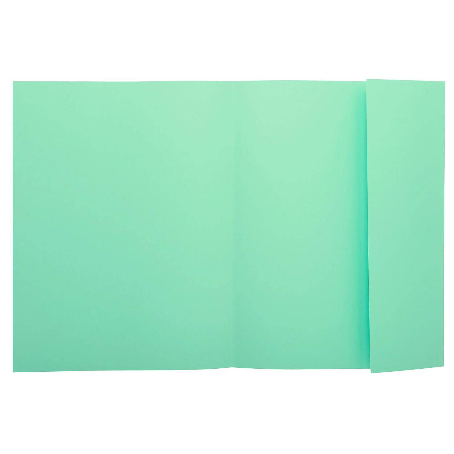 Exacompta 5x 100er Pack Aktenmappe 1 Klappe 24x32cm - Hellgrün - 348004E