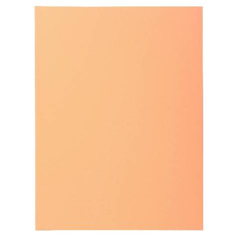 Exacompta 5x 100er Aktendeckel SUPER 160 24x32cm - Sand - 340002E
