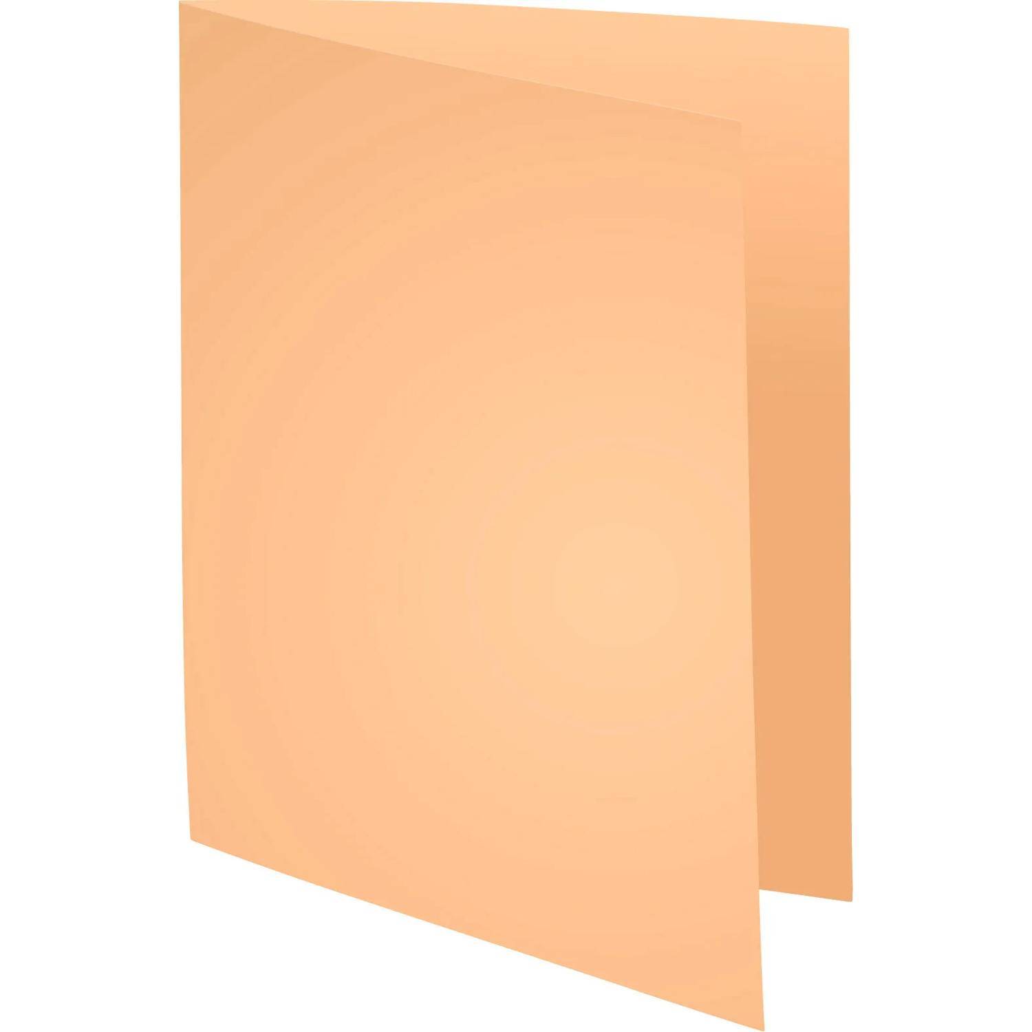 Exacompta 5x 100er Aktendeckel SUPER 160 24x32cm - Sand - 340002E