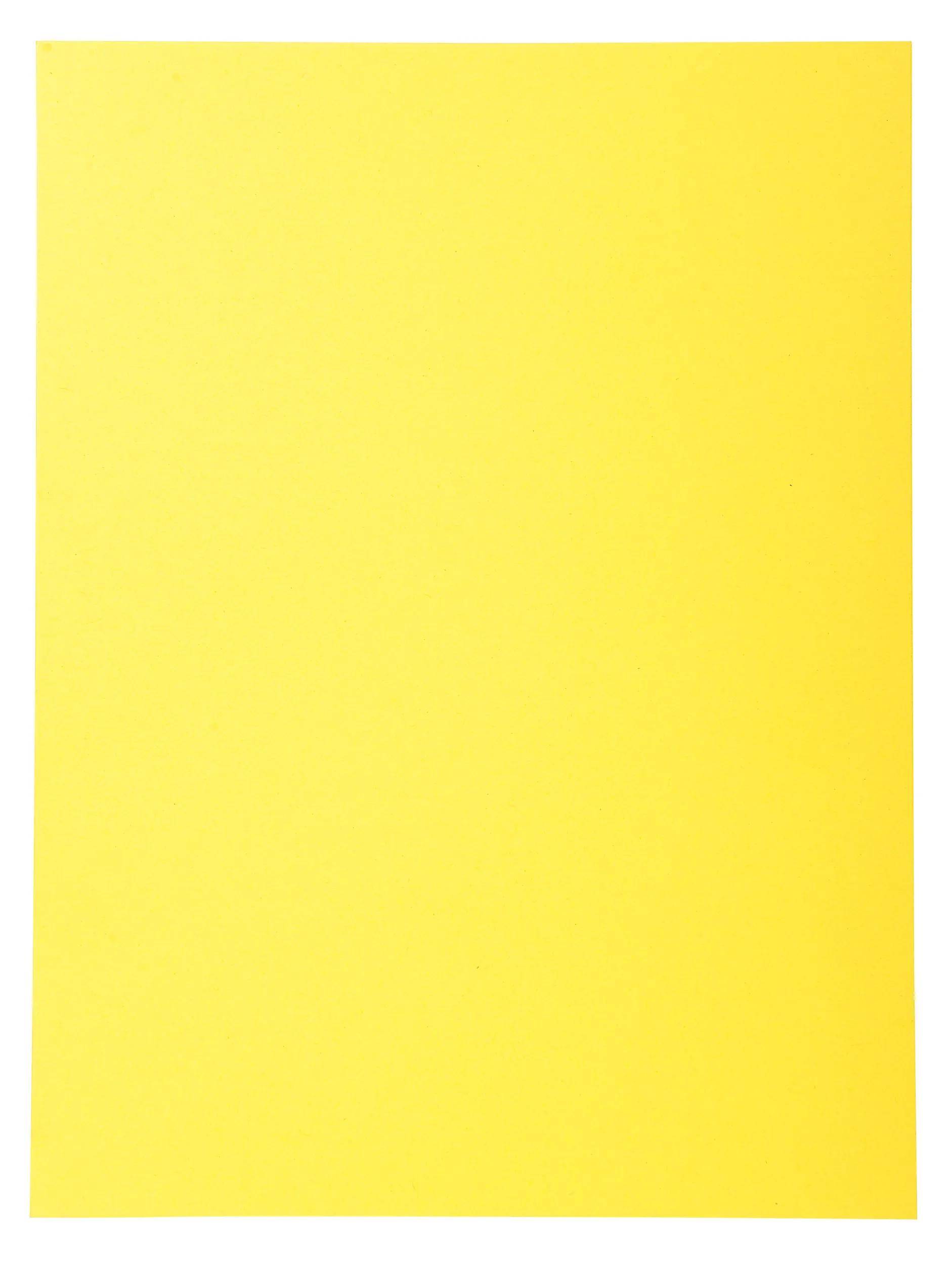 Exacompta 5x 100er Aktendeckel Recycling 24x32cm - Gelb - 420005E