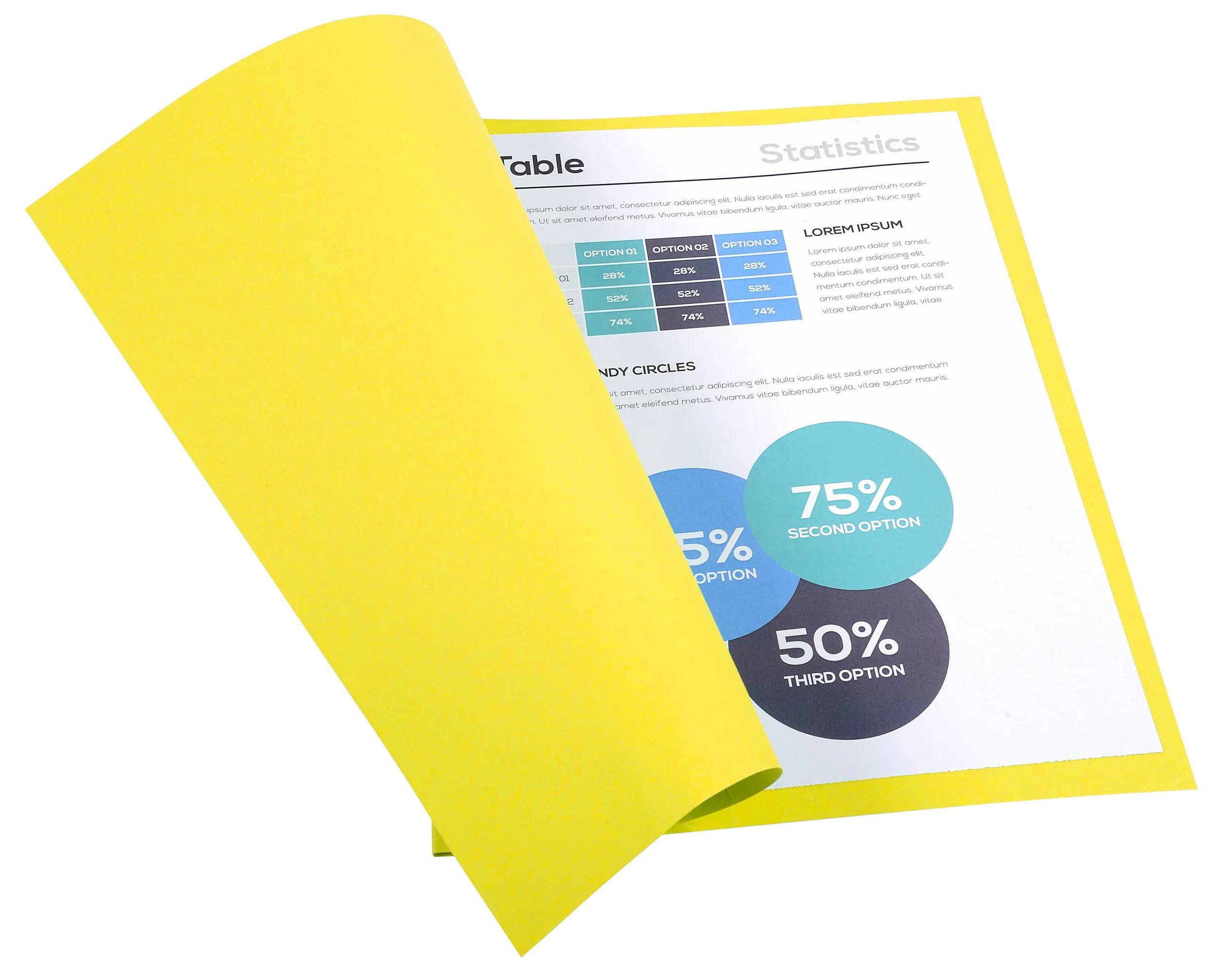 Exacompta 5x 100er Aktendeckel Recycling 24x32cm - Gelb - 420005E