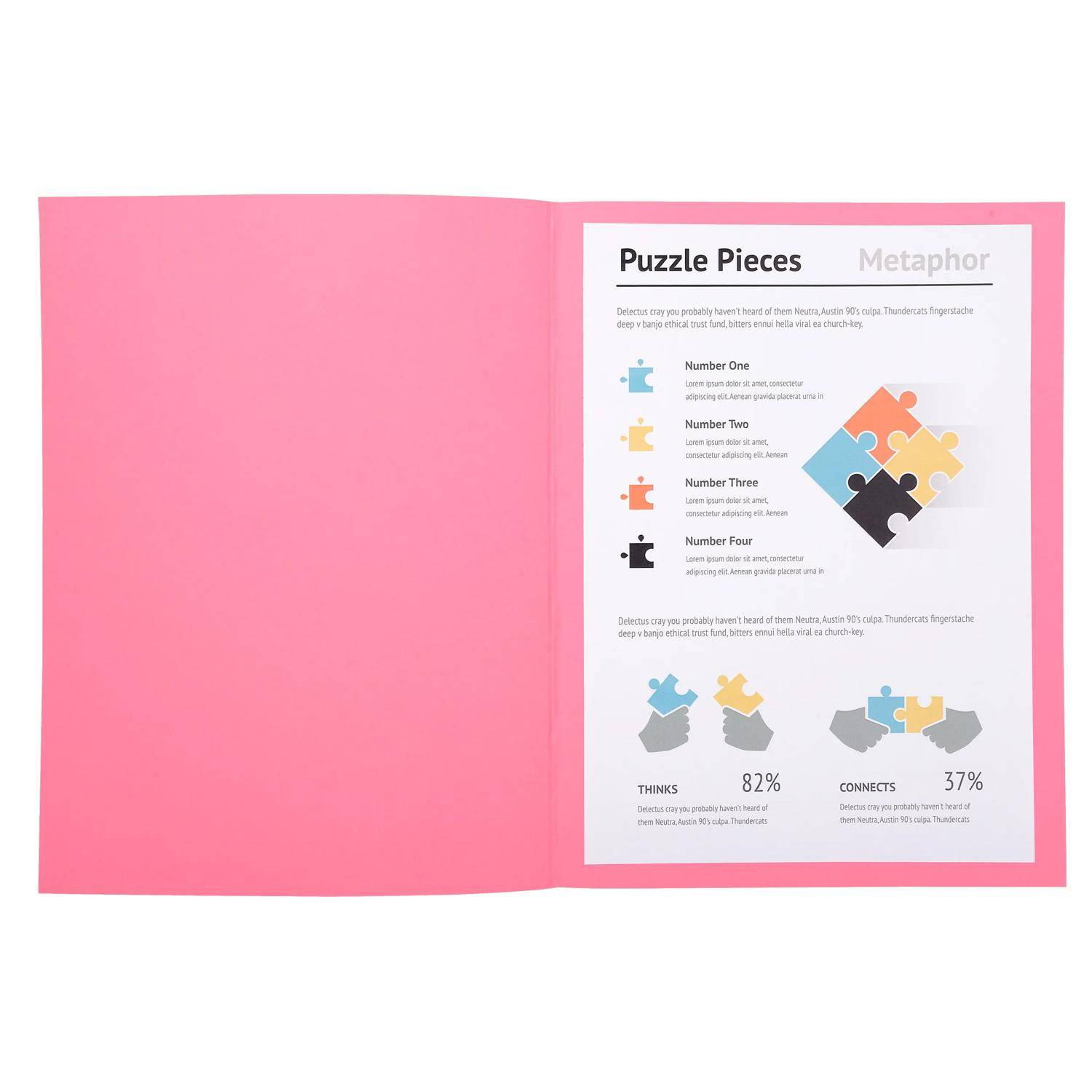 Exacompta 5x 100er Aktendeckel SUPER 160 24x32cm - Rosa - 340003E