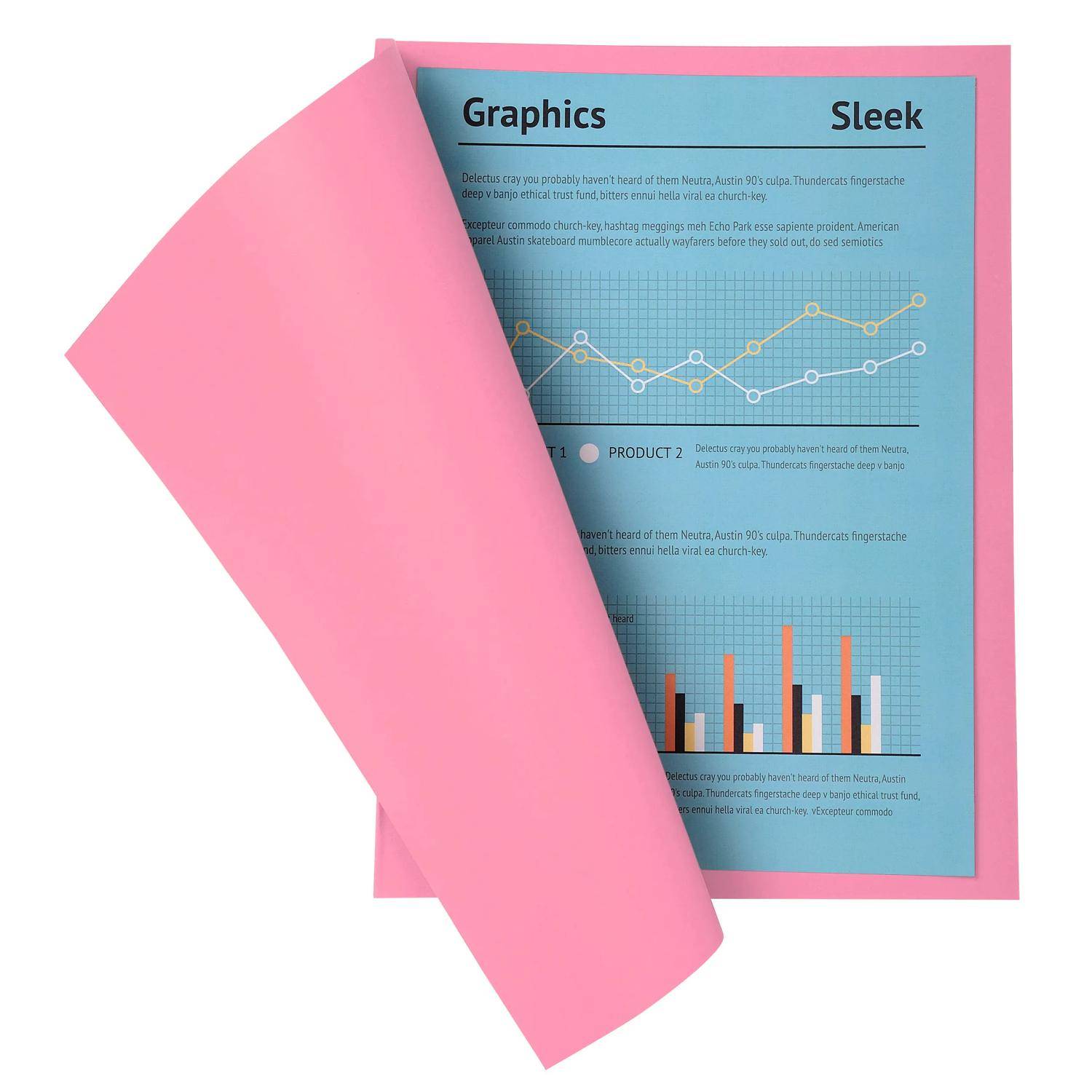 Exacompta 5x 100er Pack Aktendeckel A4 24x32cm 5-farben - Rosa - 330003E