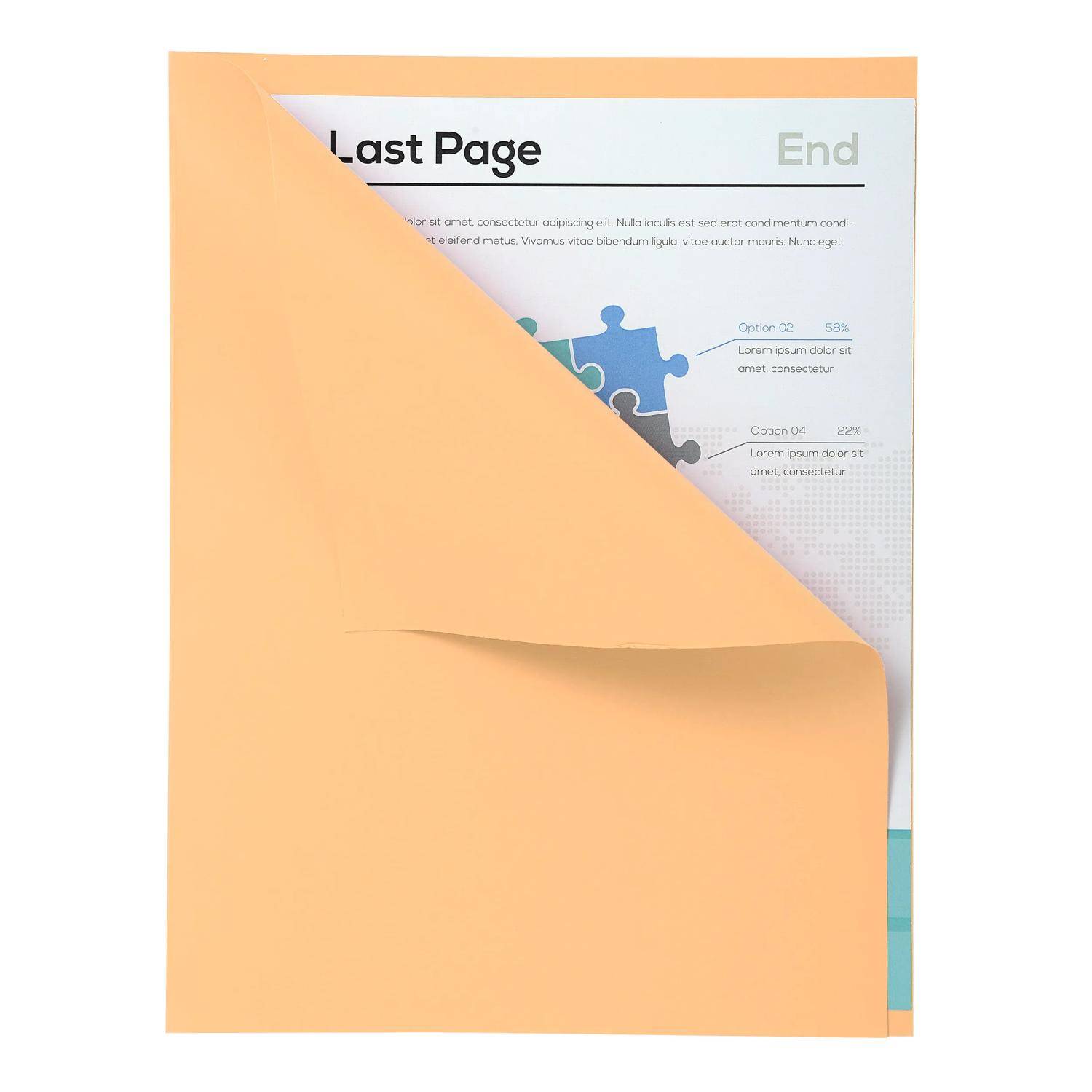 Exacompta 5x 100er Packung FOREVER 170 mit rotem Rand - Sand - 421002E