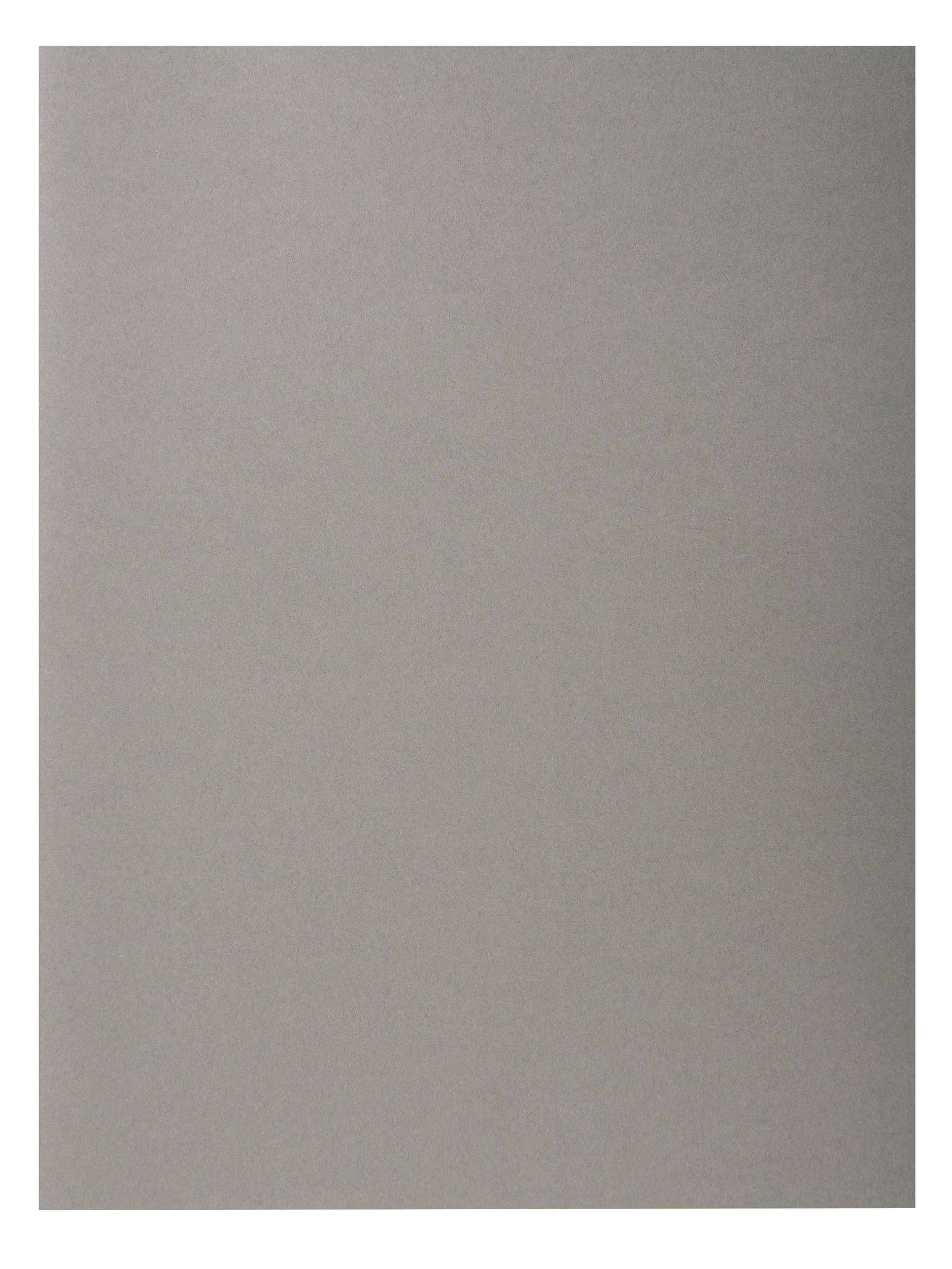 Exacompta 5x 100er Aktendeckel Recycling 24x32cm - Grau - 420009E