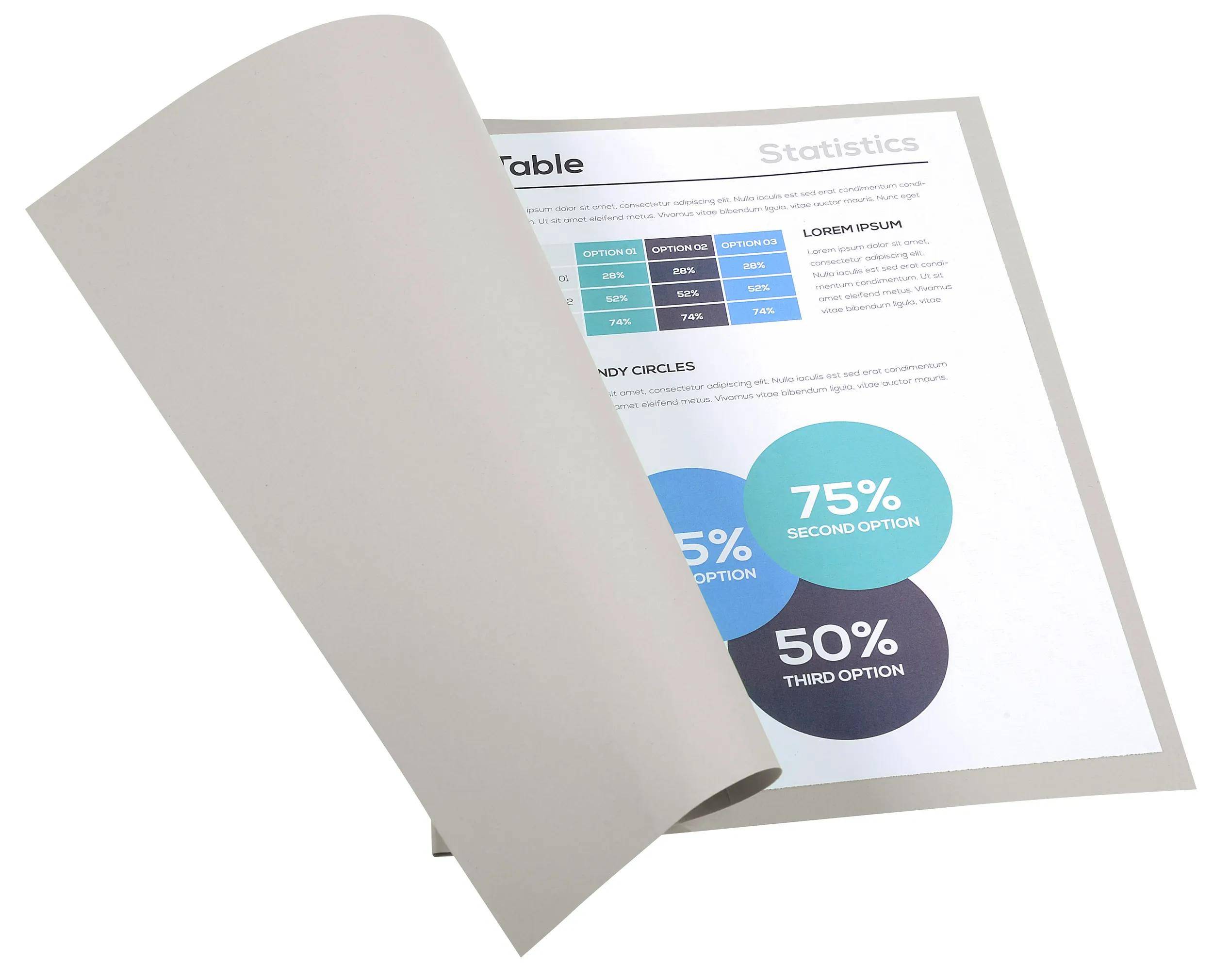 Exacompta 5x 100er Aktendeckel Recycling 24x32cm - Grau - 420009E