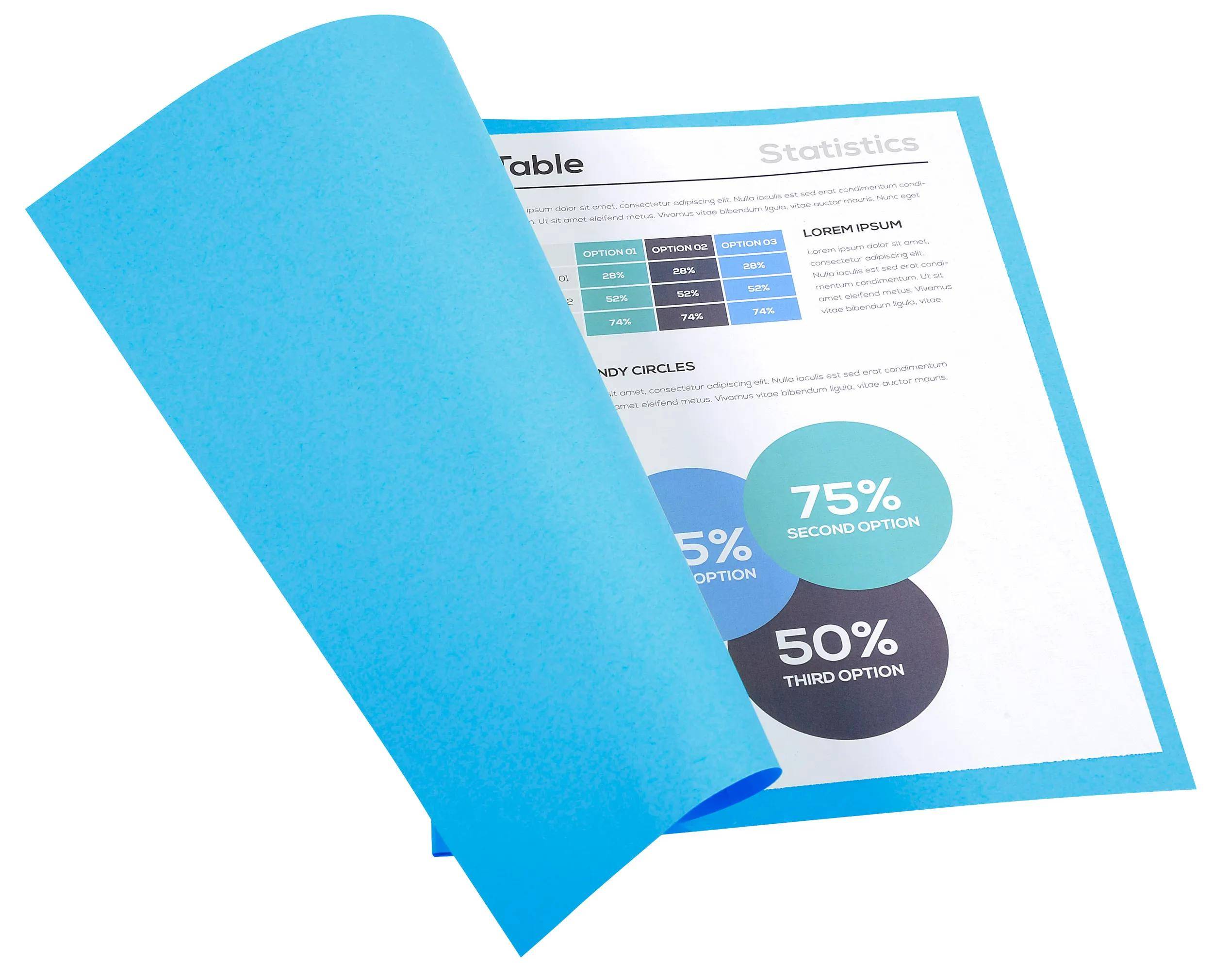 Exacompta 5x 100er Aktendeckel Recycling 24x32cm - Intensivblau - 420010E