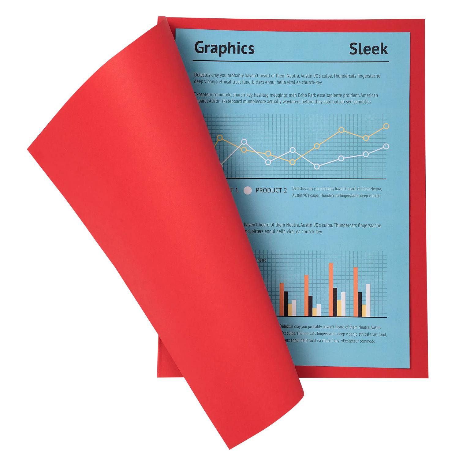 Exacompta 5x 100er Pack Aktendeckel A4 24x32cm 5-farben - Rot - 330012E