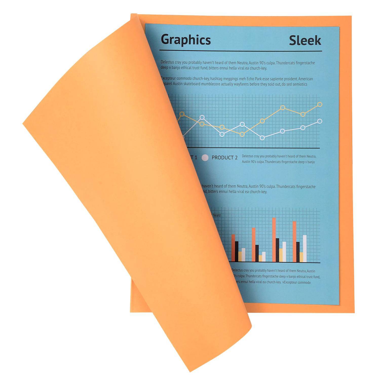 Exacompta 5x 100er Pack Aktendeckel A4 24x32cm 5-farben - Sand - 330002E