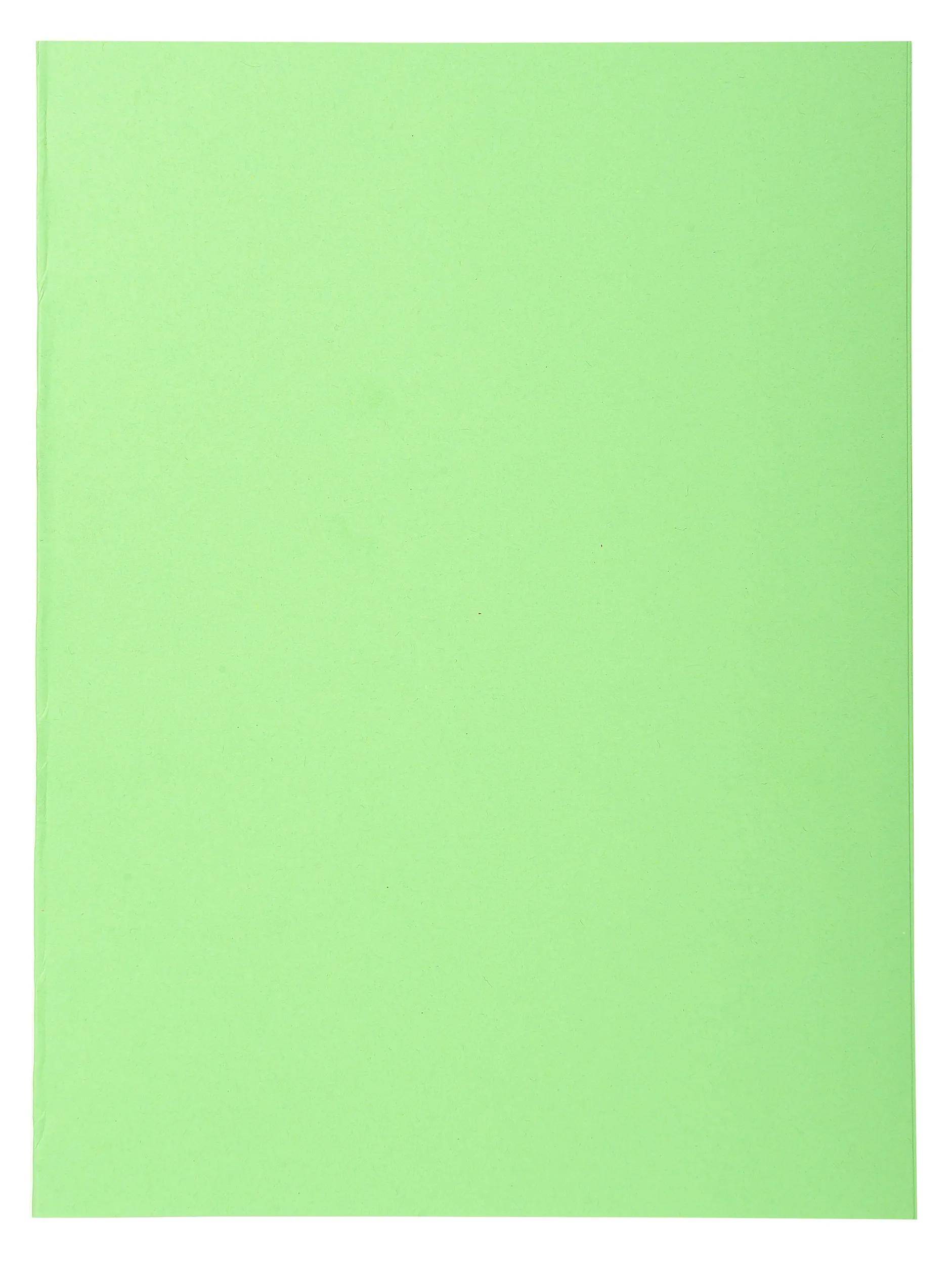 Eine schlichte hellgrüne rechteckige Oberfläche ohne sichtbare Markierungen oder Text.