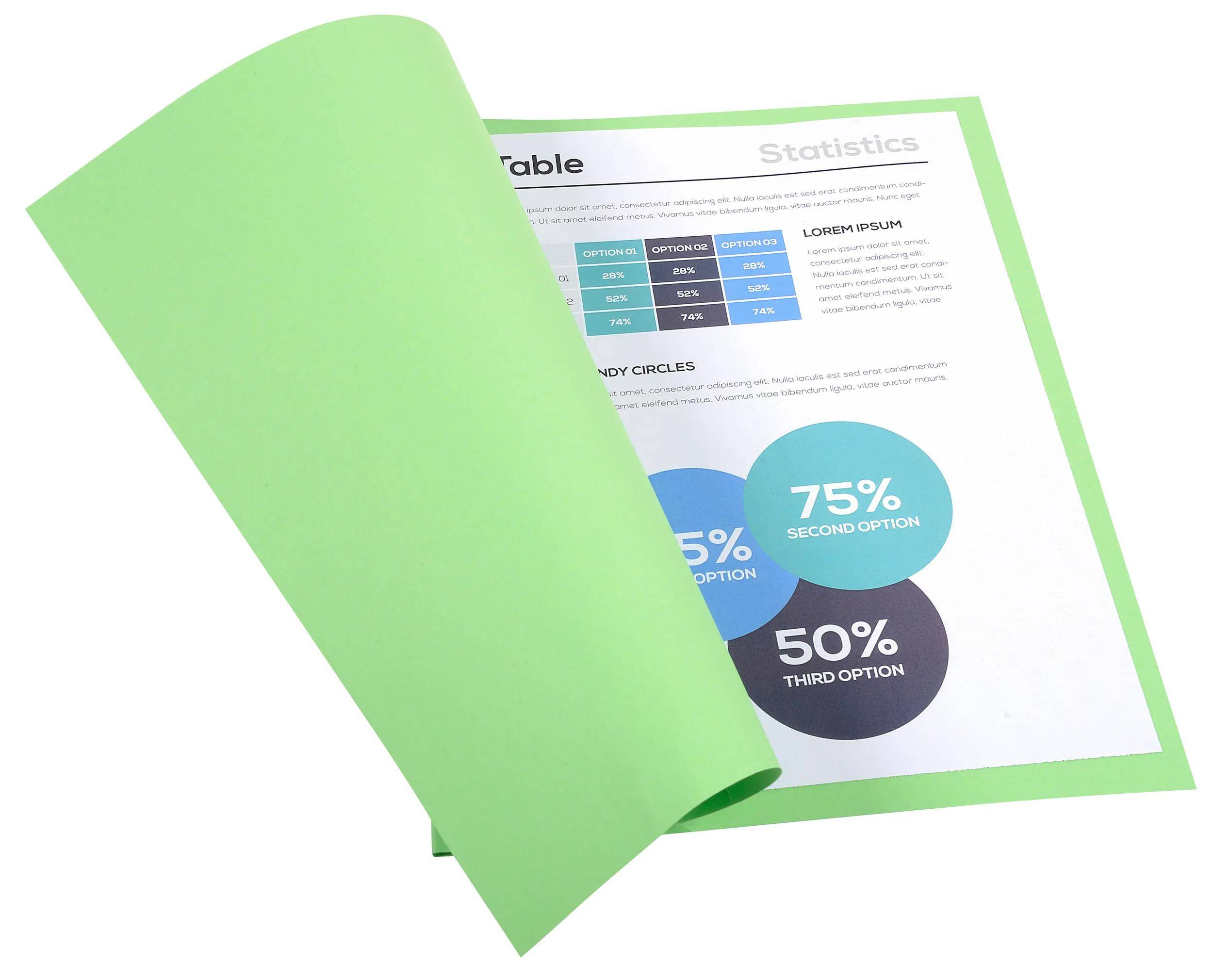 Exacompta 10x 50er Packung Aktendeckel FOREVER® 170 Grün Intensivgrün - 420213E