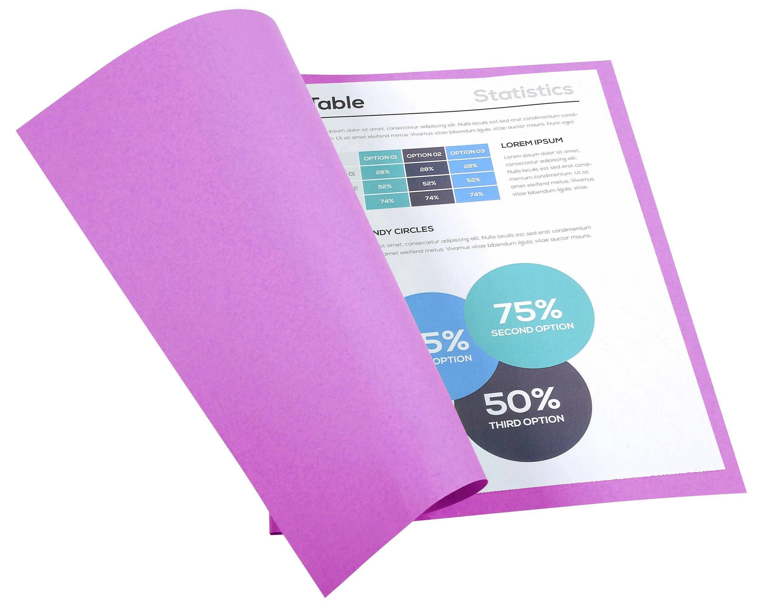 Exacompta 5x 100er Aktendeckel Recycling 24x32cm - Flieder - 420016E