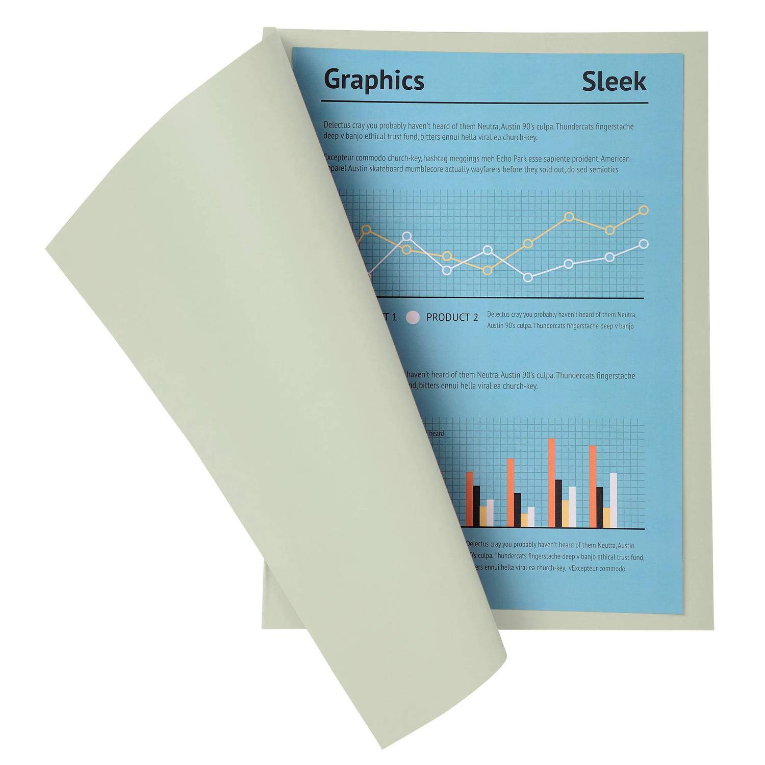 Exacompta 5x 100er Pack Aktendeckel A4 24x32cm 5-farben - Grau - 330009E