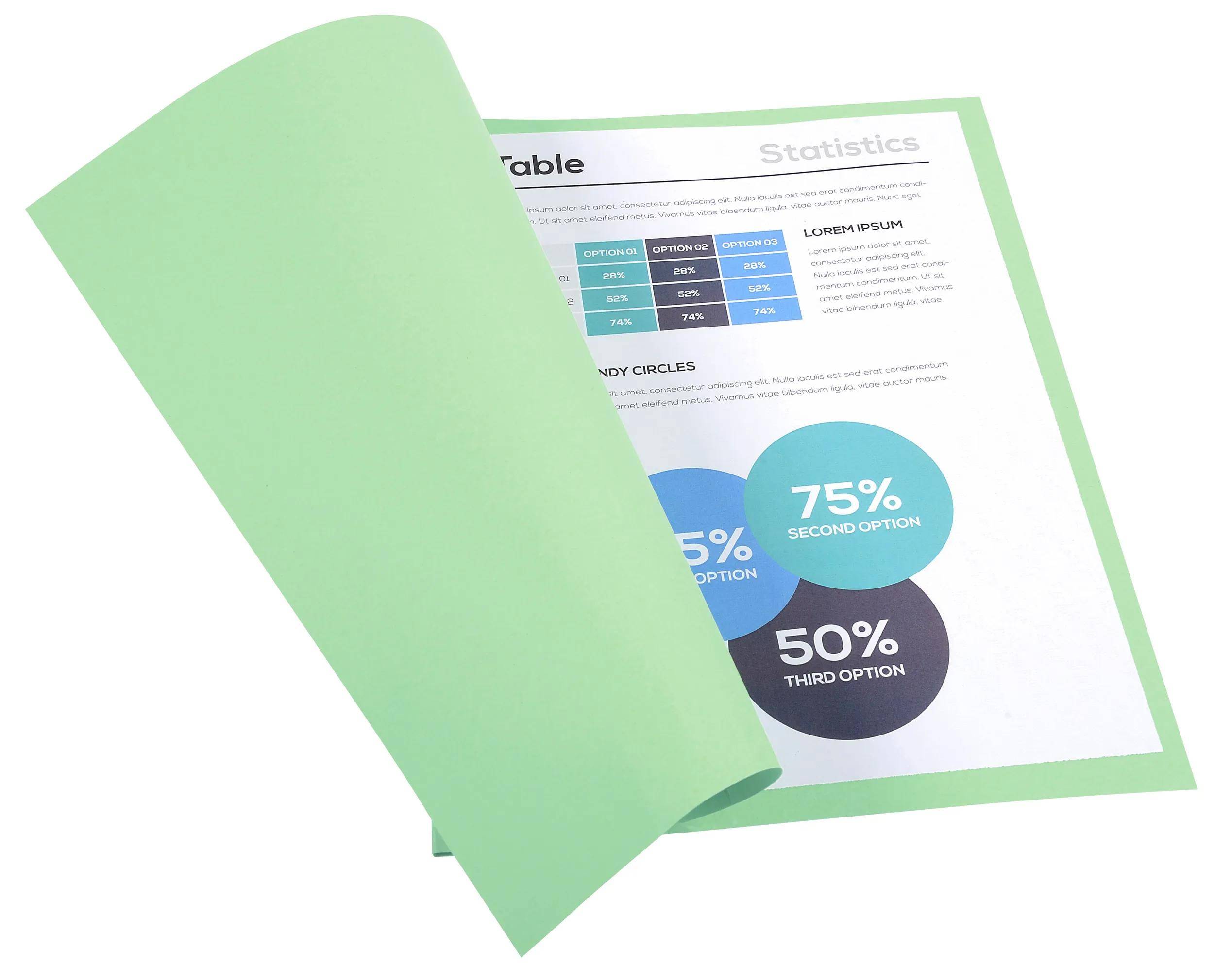 Exacompta 5x 100er Aktendeckel Recycling 24x32cm - Giftgrün - 420004E