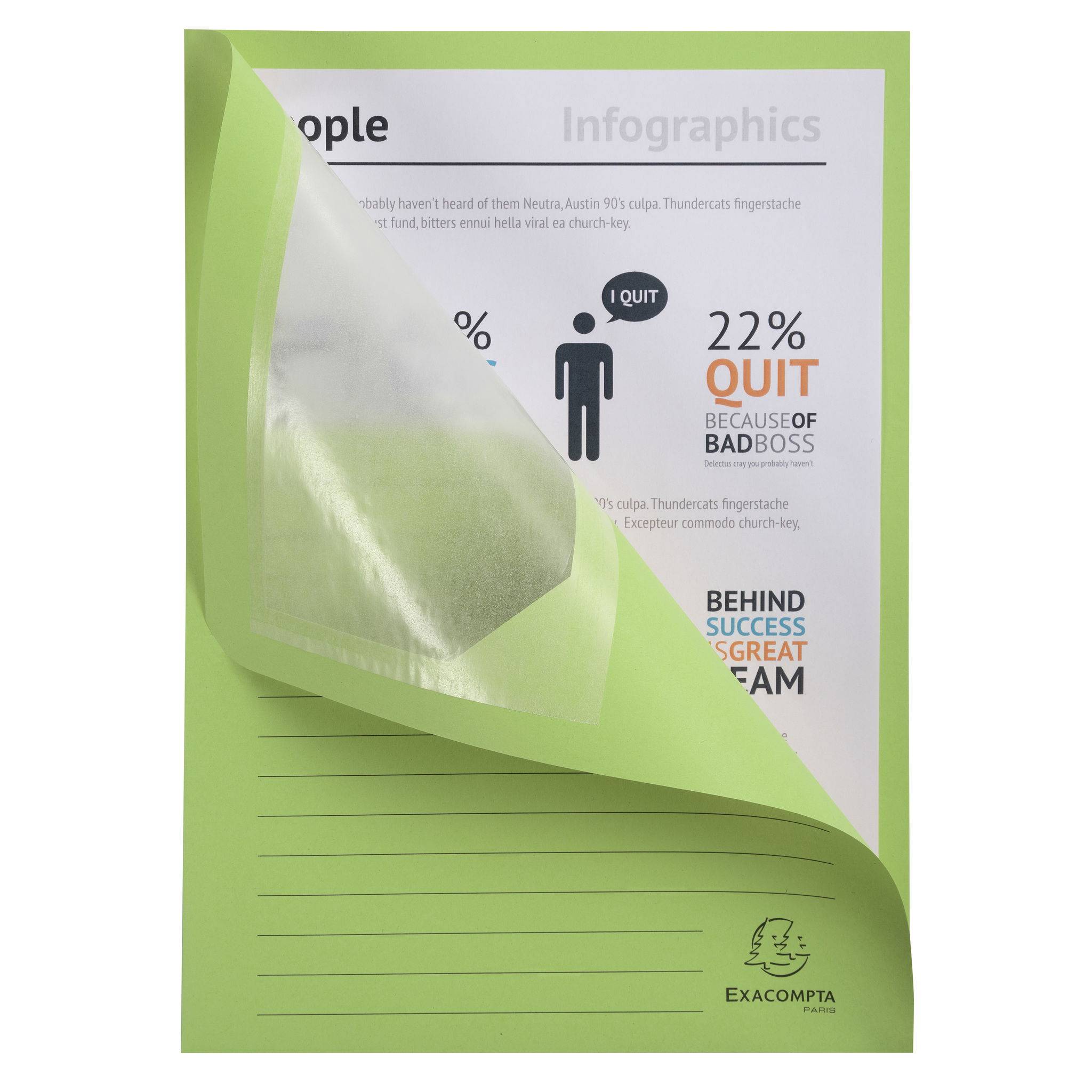 Exacompta 16x 25 Fenstermappen, A4, 160g, plastikfrei, Giftgrün, 50253E