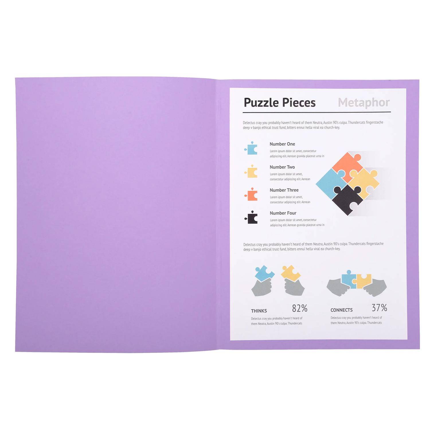 Exacompta 5x 100er Aktendeckel SUPER 160 24x32cm - Flieder - 340008E