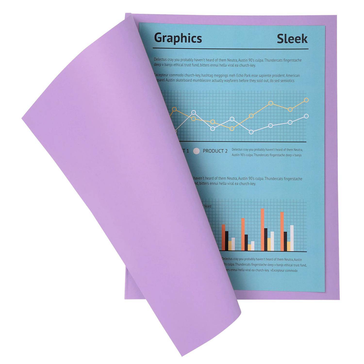 Exacompta 5x 100er Pack Aktendeckel A4 24x32cm 5-farben - Flieder - 330008E