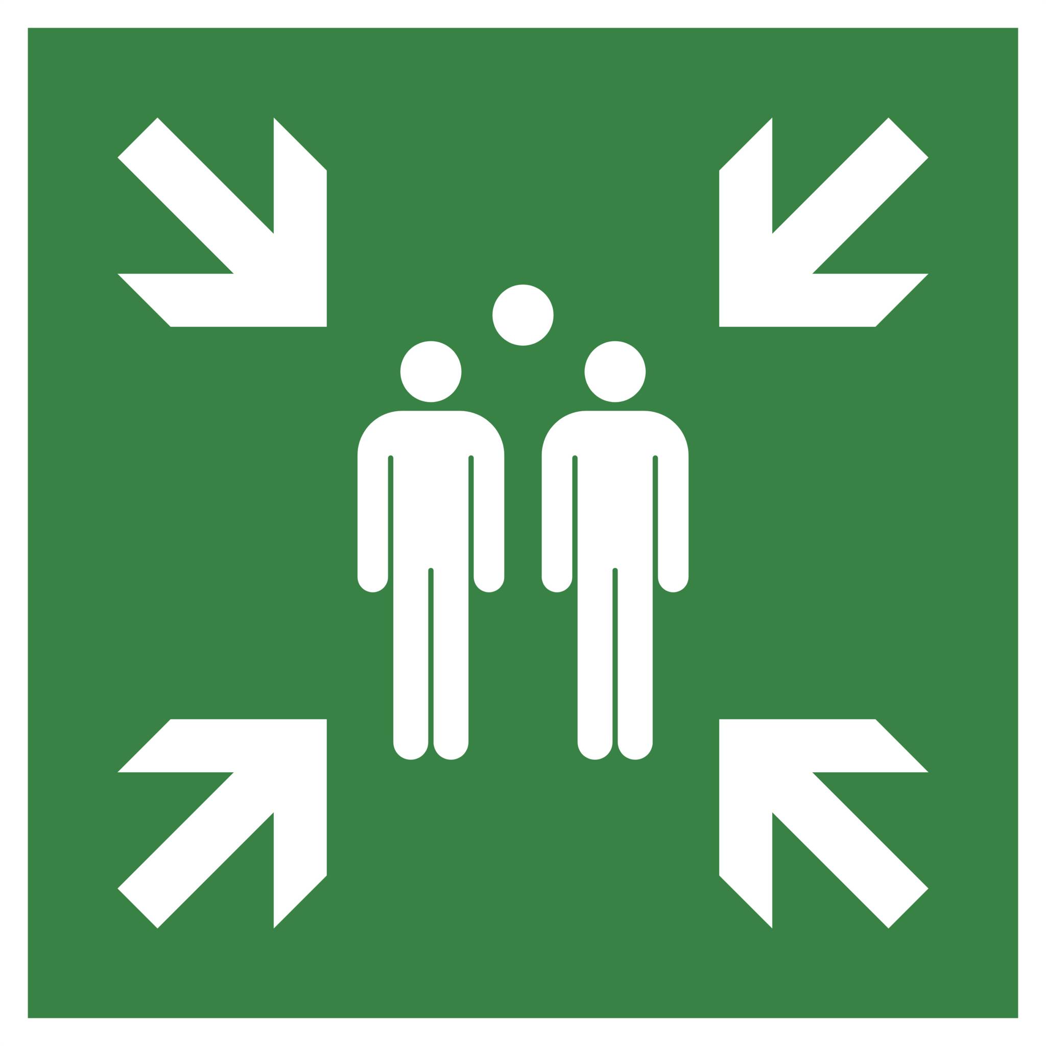 Exacompta Hinweisschild PP, nicht selbstklebend, Sammelplatz 30 cm, Grün, 67120E