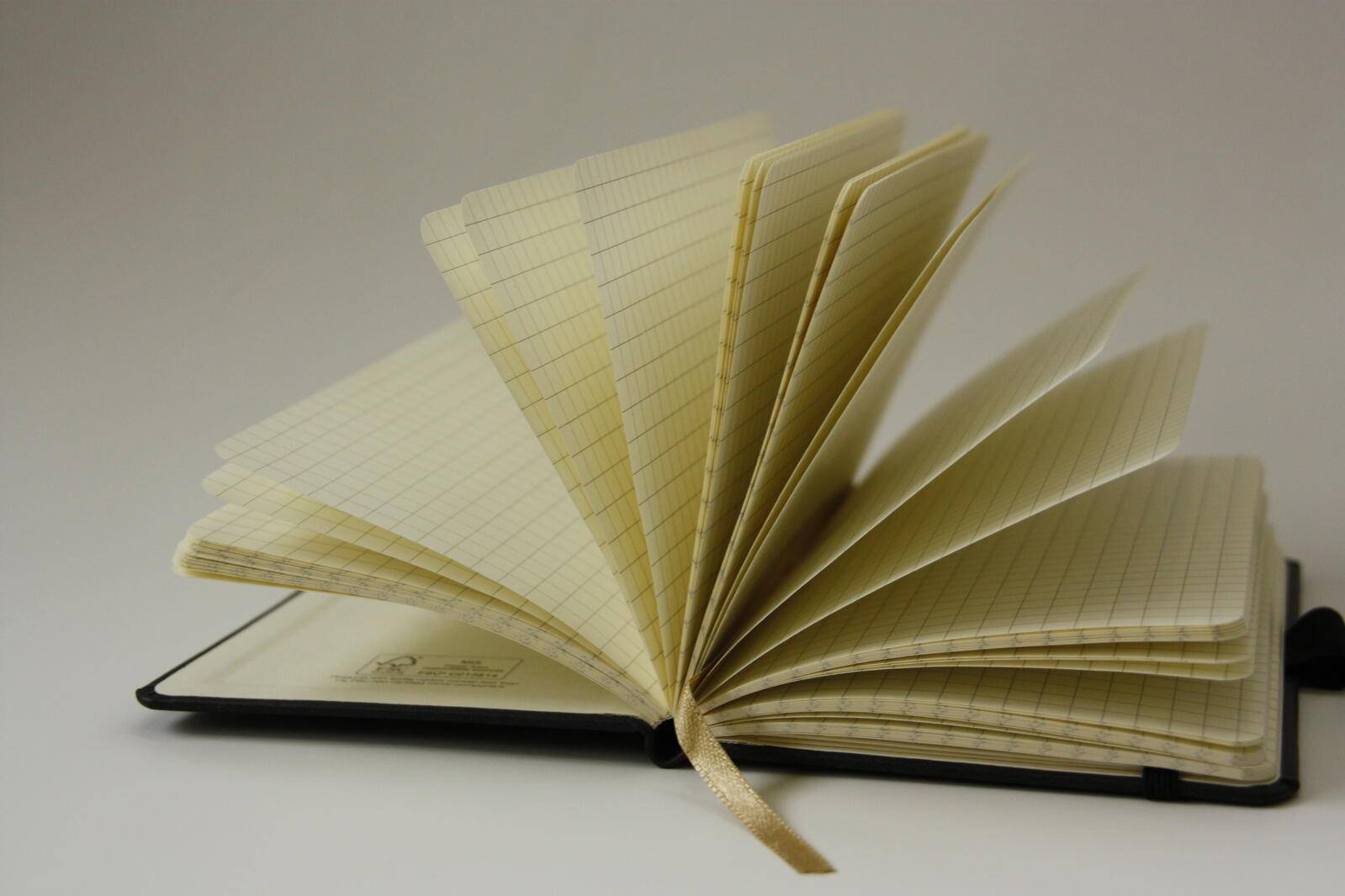 Ein offenes Notizbuch mit leeren liniierten Seiten, die fächerartig auf einer weißen Oberfläche ausgebreitet sind und ein Lesezeichen-Band zeigen.