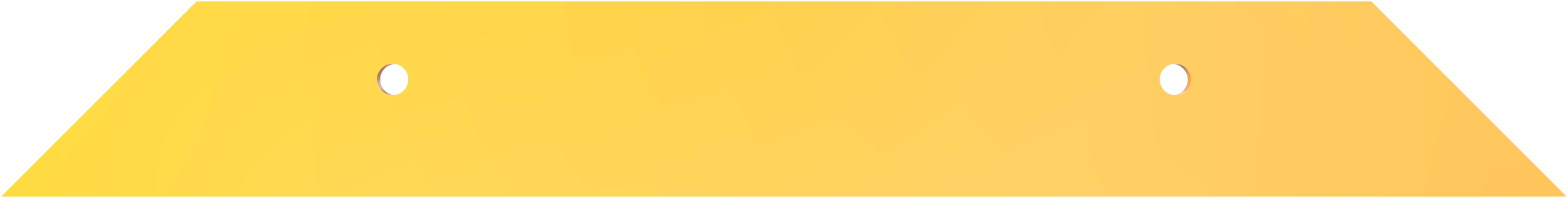 Schake 477_45BG Schrammbord Stahlwinkel 100 x 150 x 10 mm für Dübelbefestigung Gesamtlänge: 800 mm