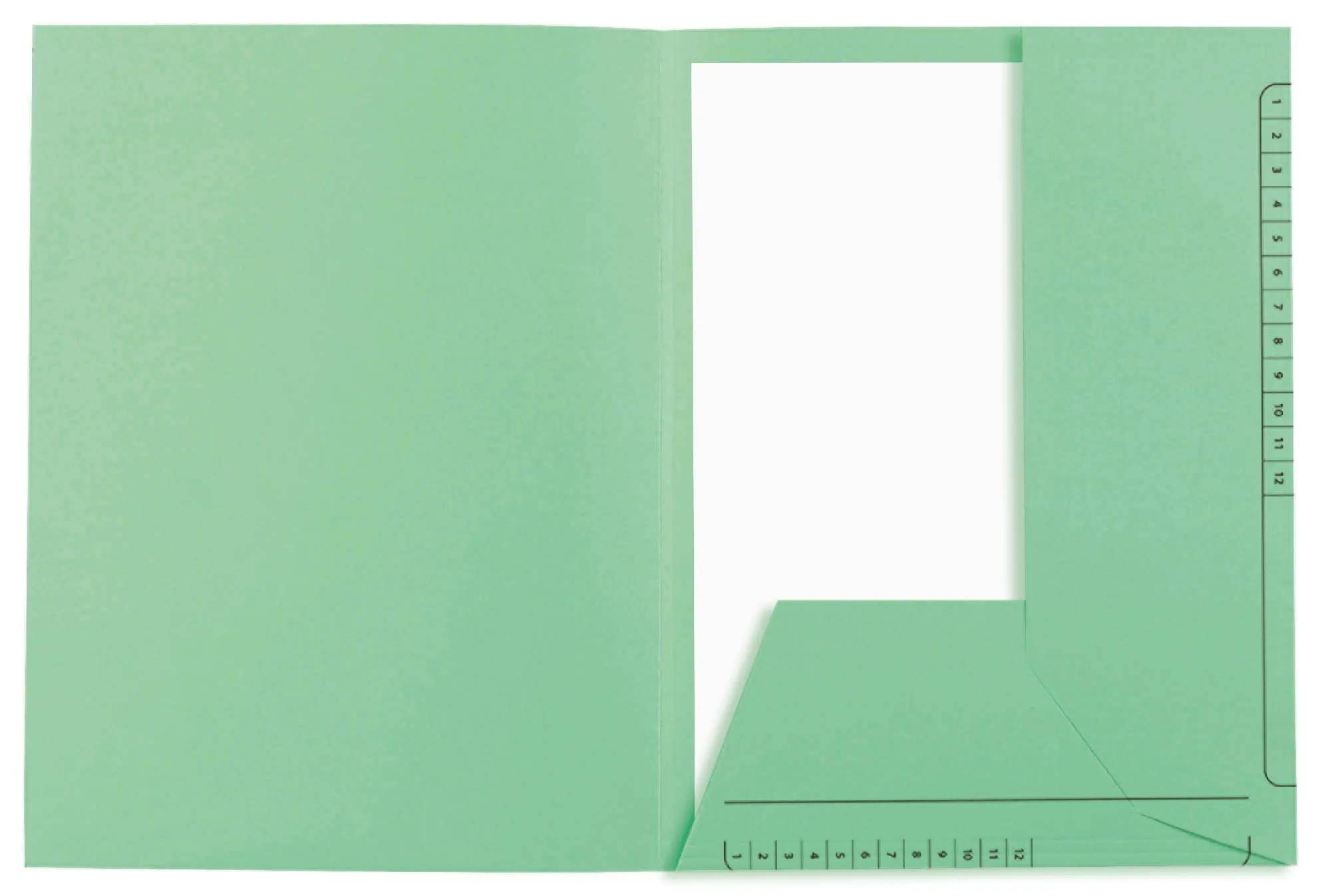 Exacompta 5x 25er Aktenmappen 2 Klappen SUPER 210 - 24x32cm - Hellgrün - 334004E