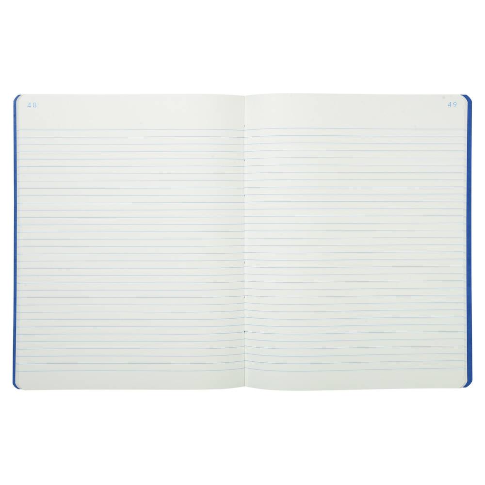 Exacompta Geschaeftsbuch 32x25 80s liniert paginie - Farben sortiert - 6420E