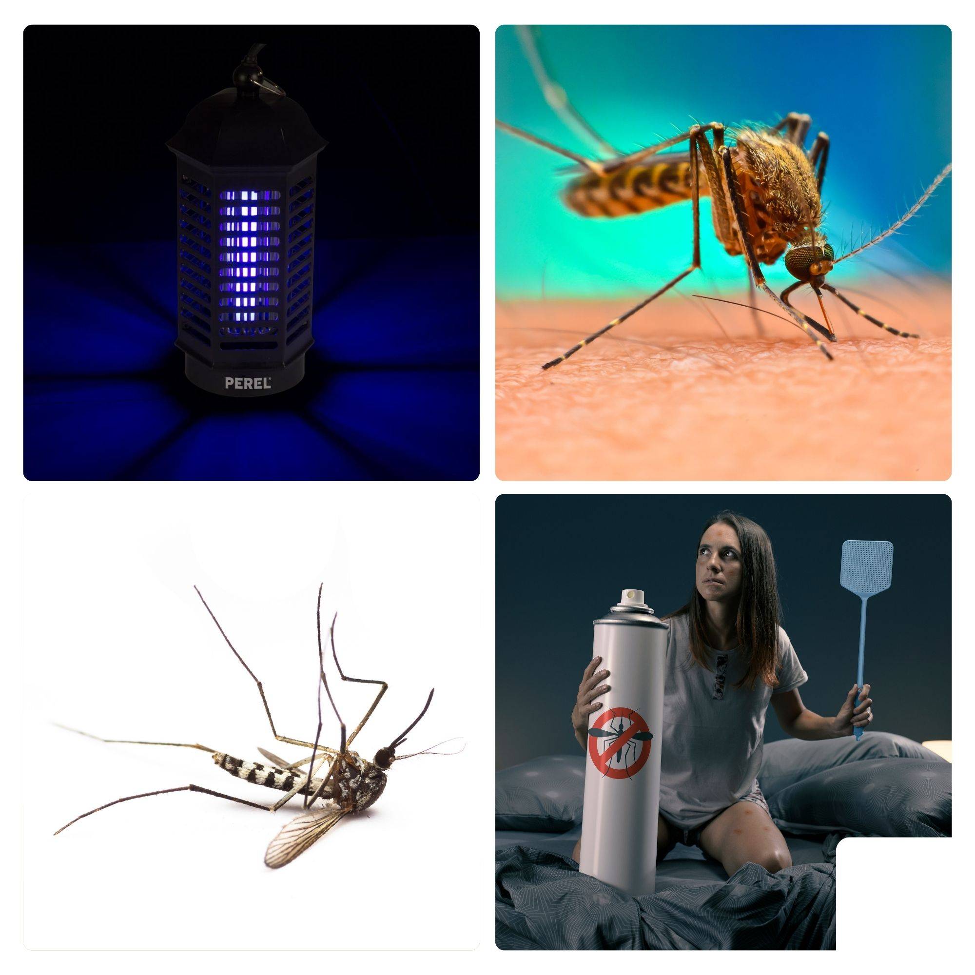 Perel Insektenvernichter, elektrisch, UV-LED, Hochspannungsgitter 1000 V, abnehmbare Auffangschale, 25 m², Schwarz