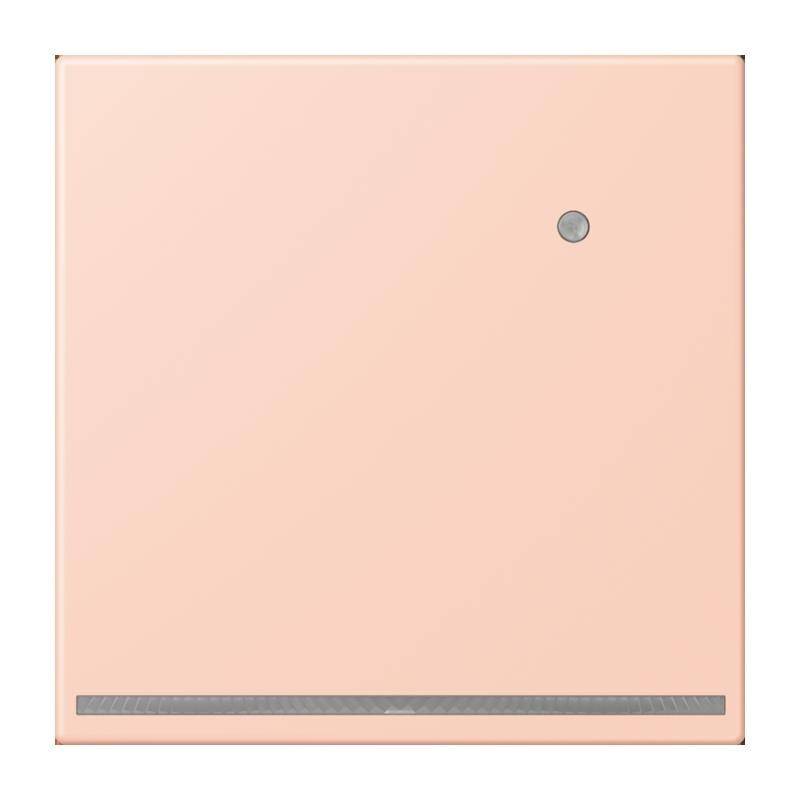Ein pfirsichfarbenes quadratisches Panel mit einem kleinen kreisförmigen Knopf in der Nähe der oberen rechten Ecke und einem schmalen Streifen am unteren Rand.