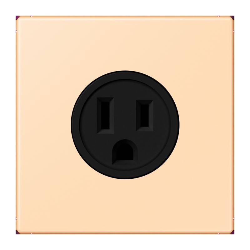 Eine beige quadratische elektrische Wandsteckdose mit einem schwarzen runden Blendrahmen, die zwei vertikale Schlitze und einen halbkreisförmigen Schlitz darunter aufweist.