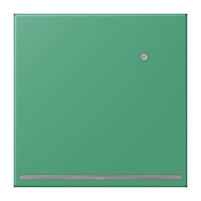 Ein grünes, quadratisches Metallpanel mit einem kleinen runden Knopf in der oberen rechten Ecke und einem schmalen horizontalen Streifen nahe dem unteren Rand.