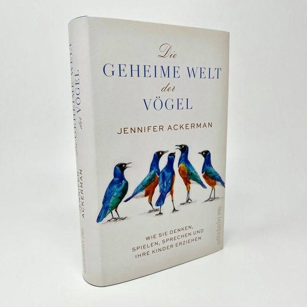 Die geheime Welt der Vögel