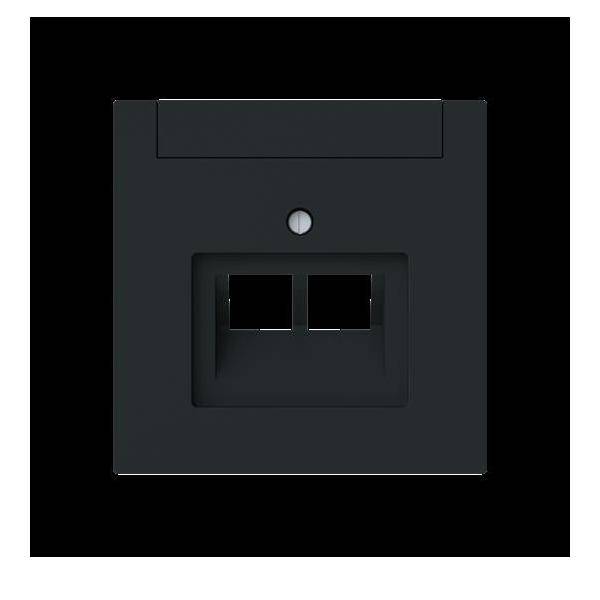 Busch-Jaeger Zentralscheibe 2-fach, UAE 1803-02-45M