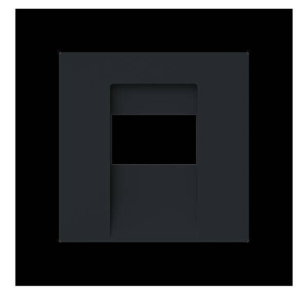 Busch-Jaeger Zentralscheibe 1766-45M